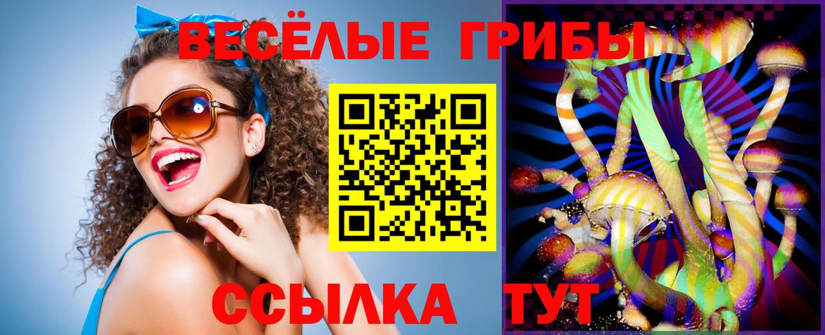 Кольчугино  Галлюциногенные грибы Psilocybe  Вход с VPN 